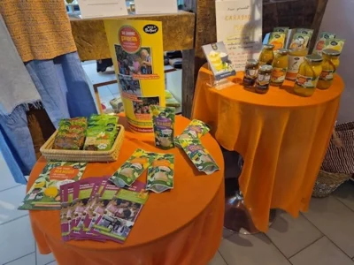Neue Mangoprodukte  (Bild vergr&ouml;&szlig;ern)