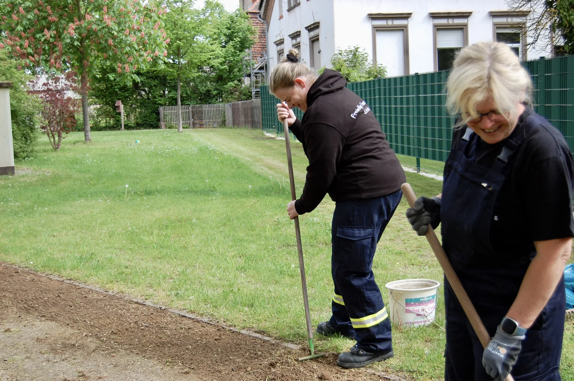 Bild: Schricke putzt sich
