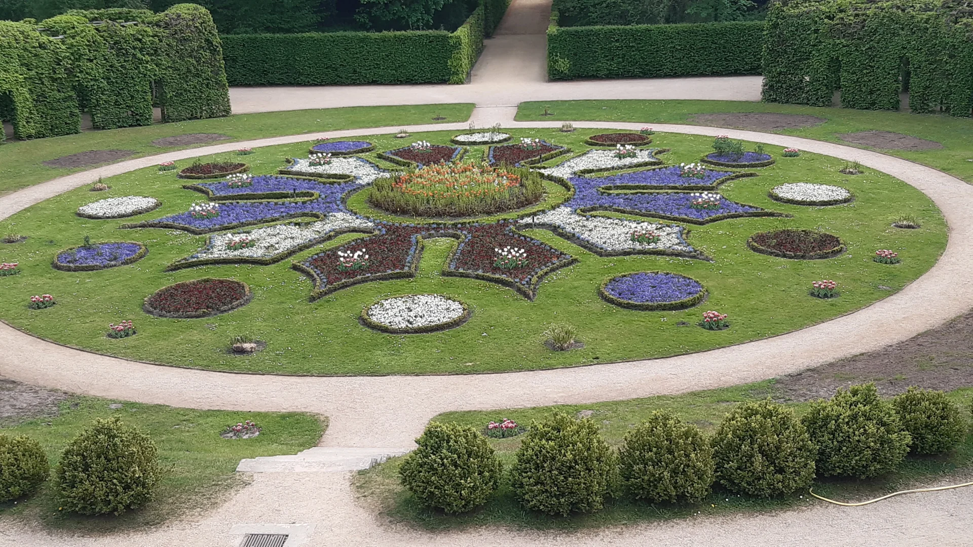 Bild der Galerie