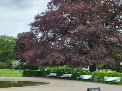 Foto des Albums: Spaziergang im Kurpark