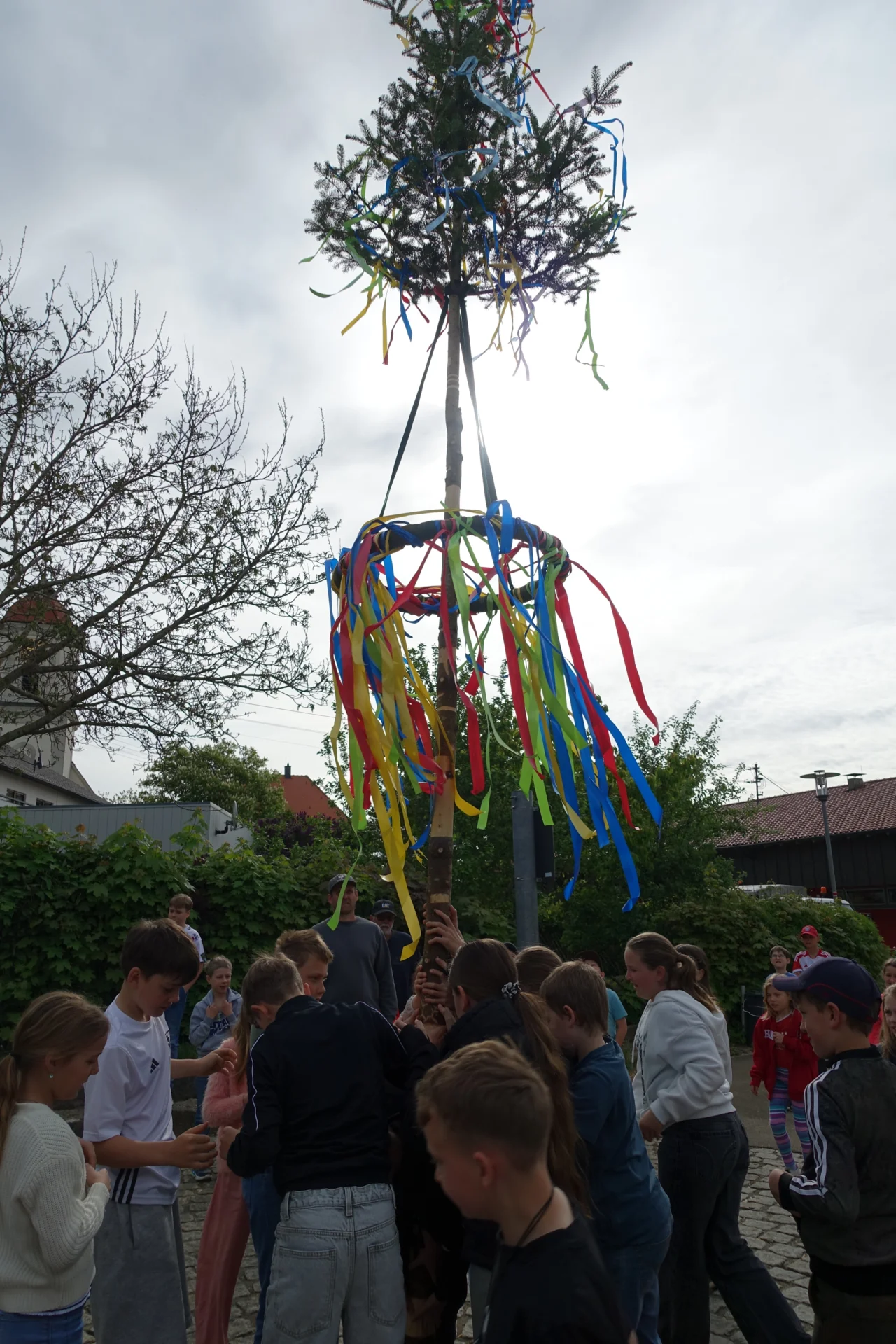 Bild der Galerie