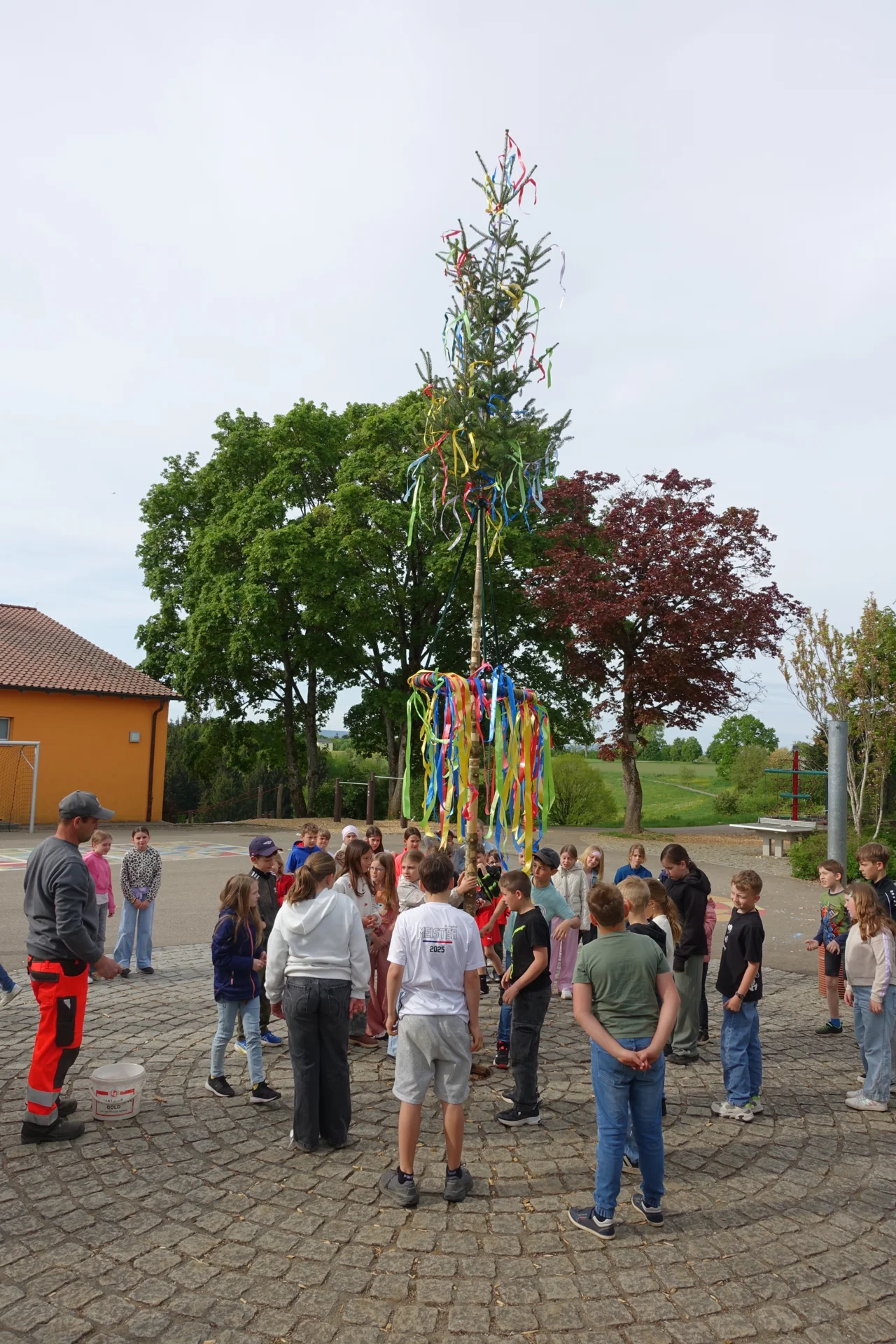 Bild der Galerie