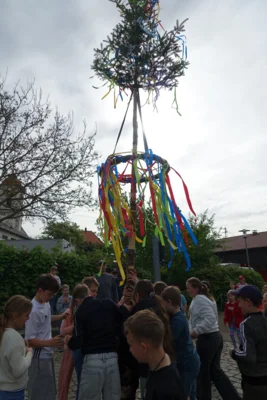 Foto des Albums: Tanz in den Mai bei der Grundschule Ellenberg