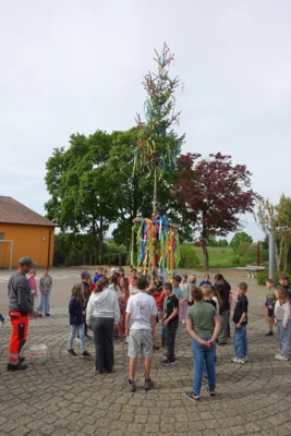 Foto des Albums: Tanz in den Mai bei der Grundschule Ellenberg