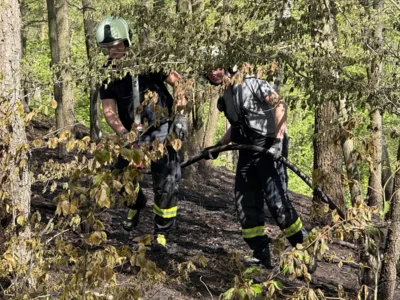 Foto des Albums: 030526 Waldbrand