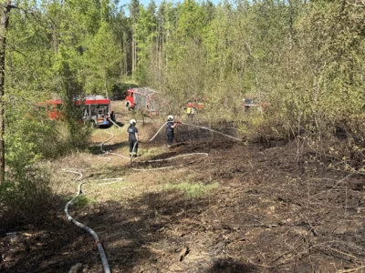 Foto des Albums: 030526 Waldbrand
