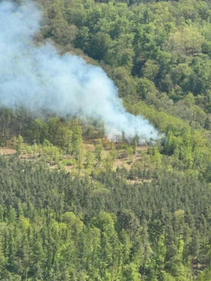 Foto des Albums: 030526 Waldbrand