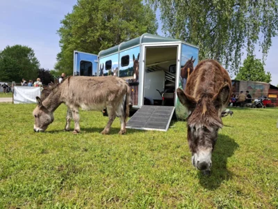 Foto des Albums: Tag der offenen Beratungshöfe 2026