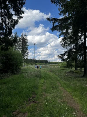 5 Wanderung 