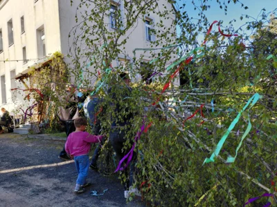 Vorschaubild der Galerie
