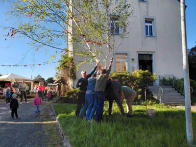 Vorschaubild der Galerie