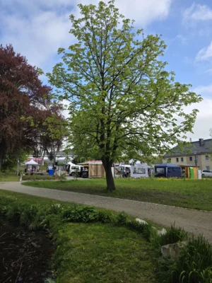 2026 05 09 Fr&uuml;hlingsmarkt 2026 (23)  (Bild vergr&ouml;&szlig;ern)