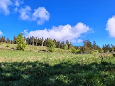 Tolles L&auml;uferwetter 