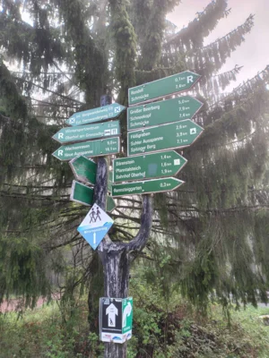 Foto des Albums: 53.0GutsMuths-Rennsteiglauf 2026