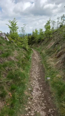 "Schweineschlucht" diesmal trocken 