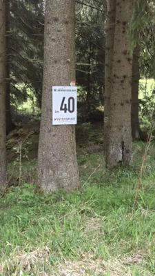 Foto des Albums: 53.0GutsMuths-Rennsteiglauf 2026