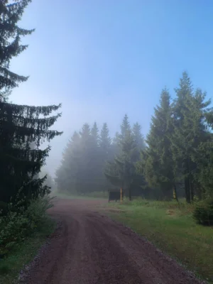 Foto des Albums: 53.0GutsMuths-Rennsteiglauf 2026