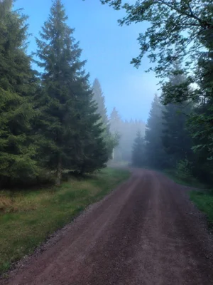 Foto des Albums: 53.0GutsMuths-Rennsteiglauf 2026