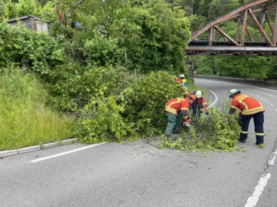 Foto des Albums: Einsatz 14.05.2026