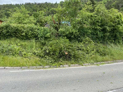Foto des Albums: Einsatz 14.05.2026