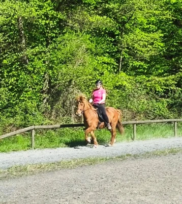 Foto des Albums: Reiten und Richten 2026