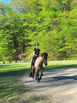 Foto des Albums: Reiten und Richten 2026