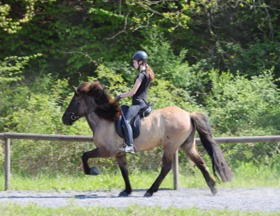Foto des Albums: Reiten und Richten 2026