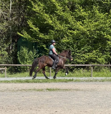 Foto des Albums: Reiten und Richten 2026
