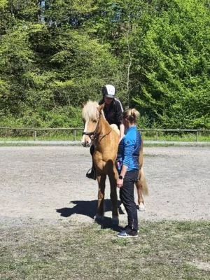Foto des Albums: Reiten und Richten 2026