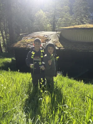 Foto des Albums: Wildkräuter 2026