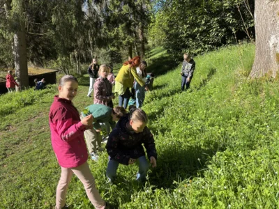 Foto des Albums: Wildkräuter 2026