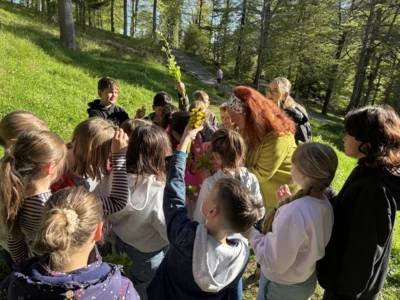 Foto des Albums: Wildkräuter 2026
