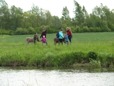 Eselwanderung  (Bild vergr&ouml;&szlig;ern)