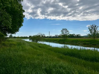 Leine  (Bild vergr&ouml;&szlig;ern)