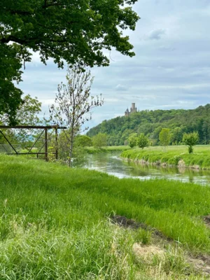 Auf dem R&uuml;ckweg  (Bild vergr&ouml;&szlig;ern)