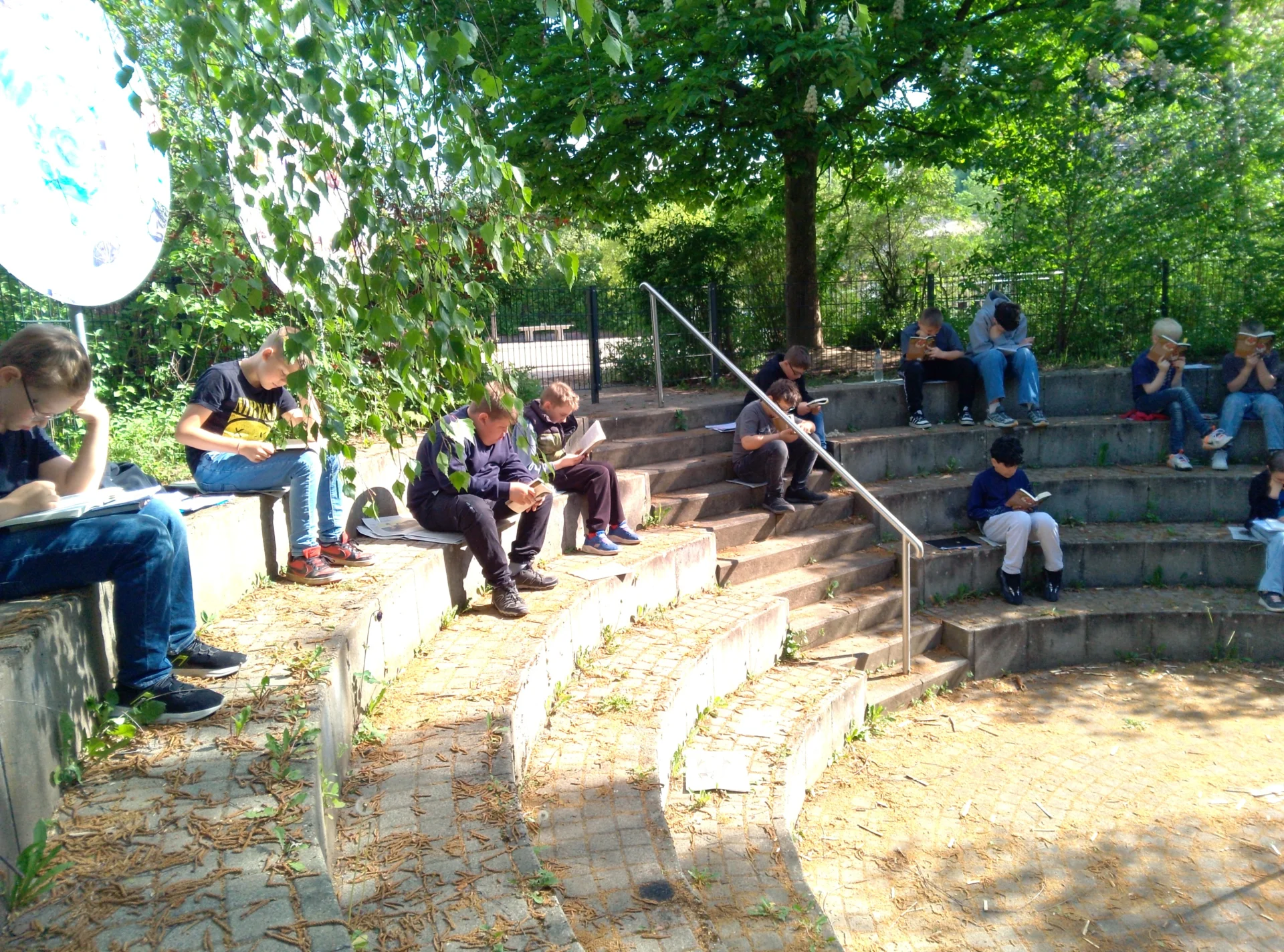 Bild der Galerie