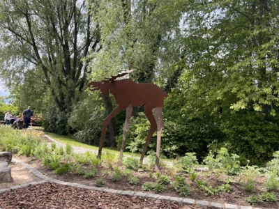 Foto des Albums: Landesgartenschau Ellwangen 2026