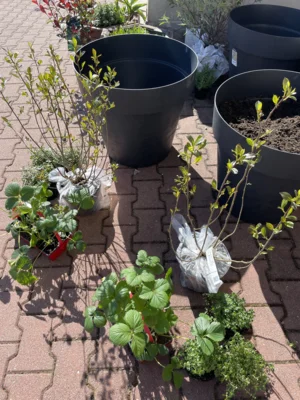 Foto des Albums: Frühjahrsputz 2026
