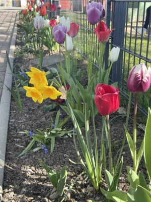 Foto des Albums: Frühjahrsputz 2026