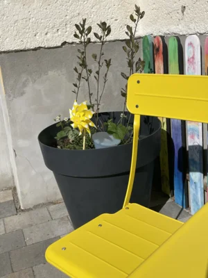 Foto des Albums: Frühjahrsputz 2026