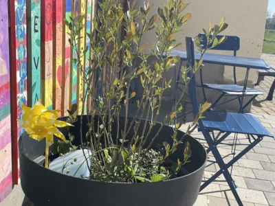 Foto des Albums: Frühjahrsputz 2026
