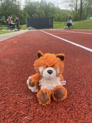 Foto des Albums: Sportfest 2026 🥇