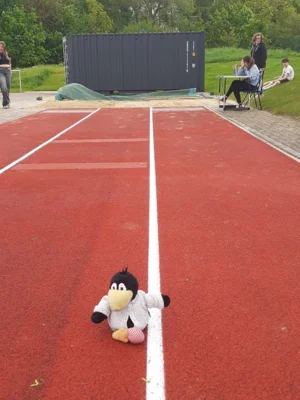 Foto des Albums: Sportfest 2026 🥇