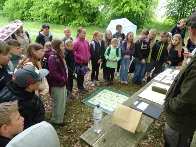 Foto des Albums: Waldolympiade