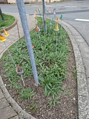Foto des Albums: Rosenbeete schneiden
