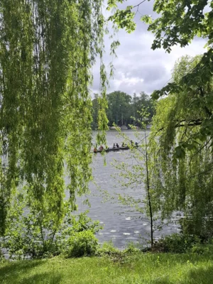 20260514 095930  (Bild vergr&ouml;&szlig;ern)