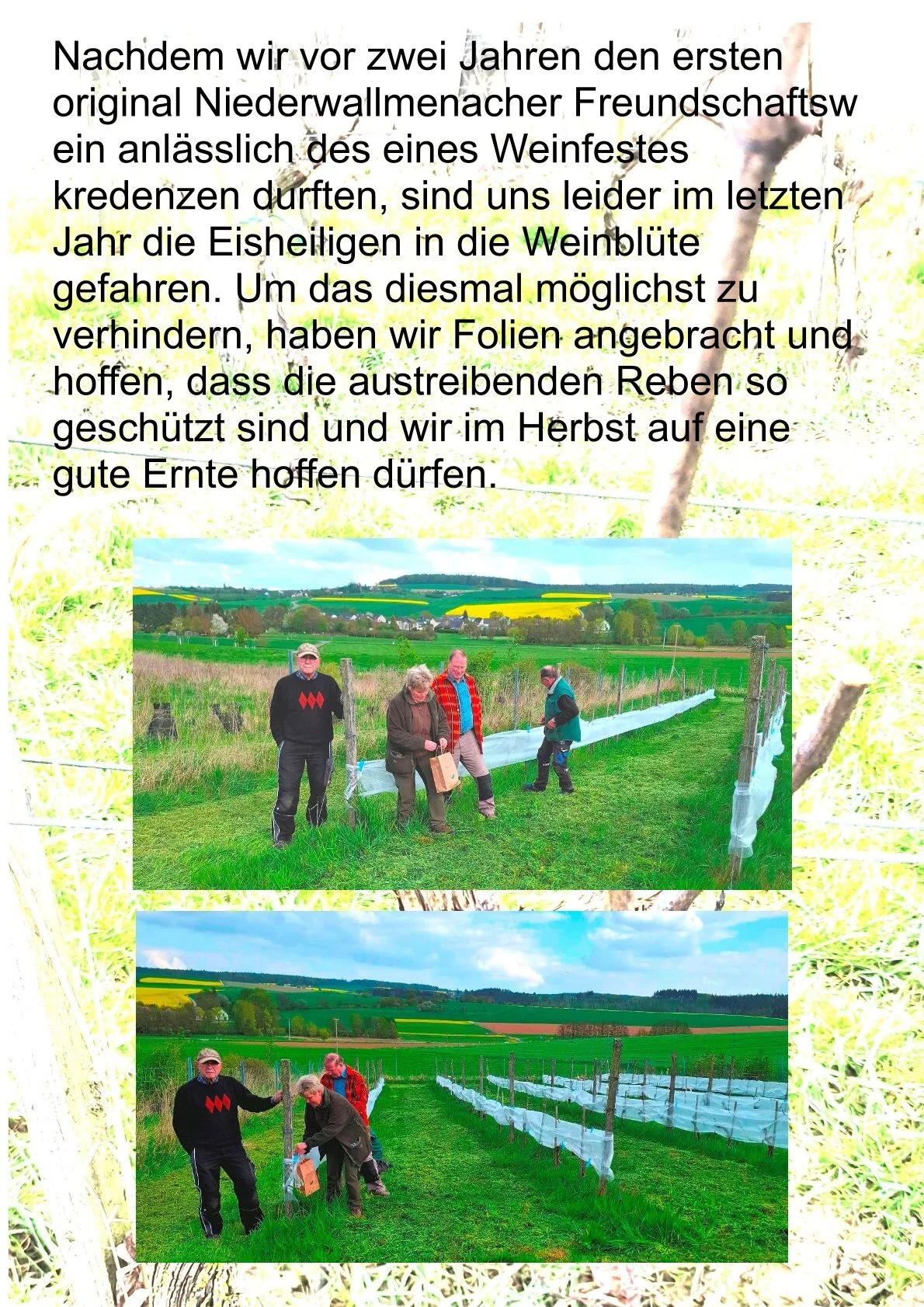 Bild: 0002