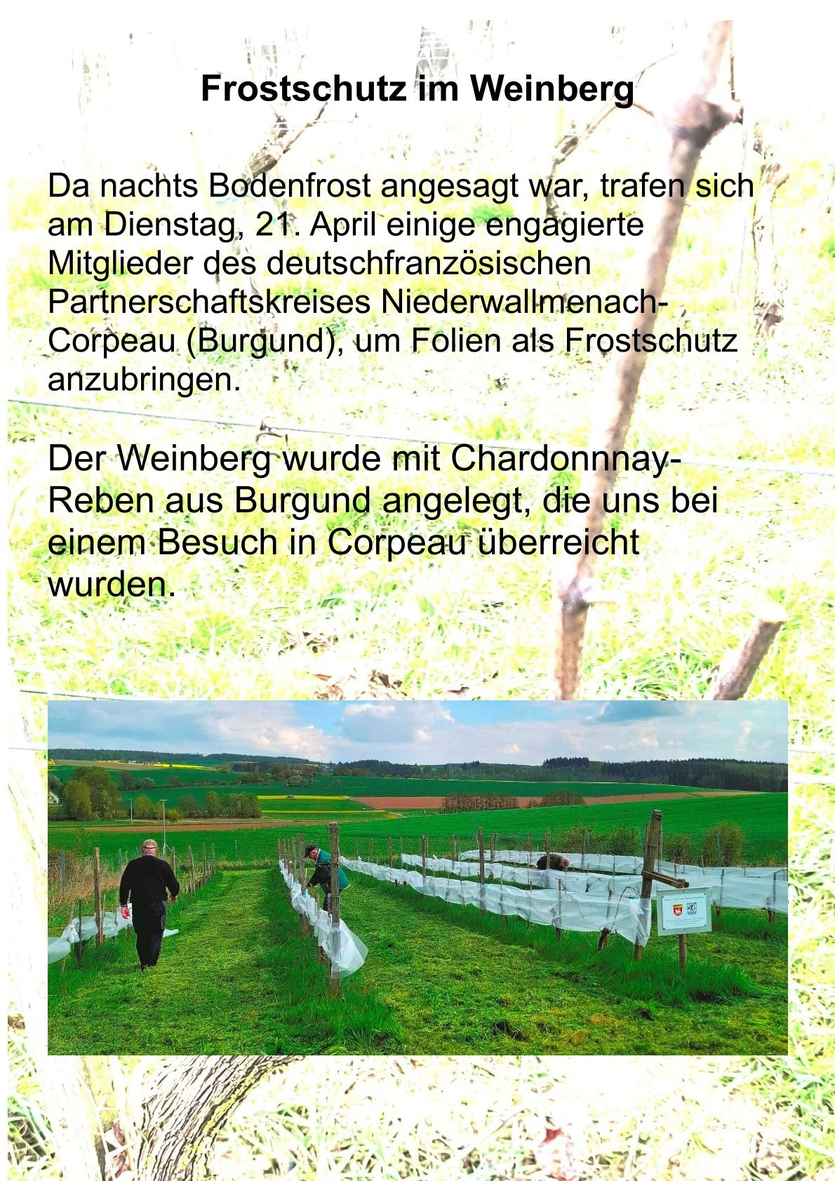 Bild: 0001