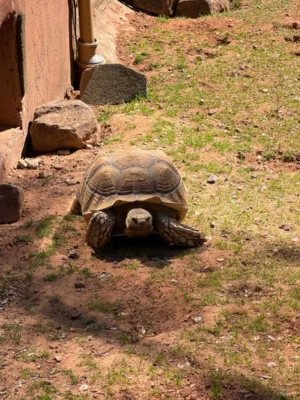 Foto des Albums: Zoo NK - 2. Schuljahr