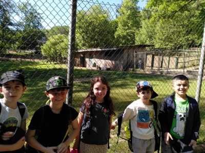 Foto des Albums: Zoo NK - 2. Schuljahr